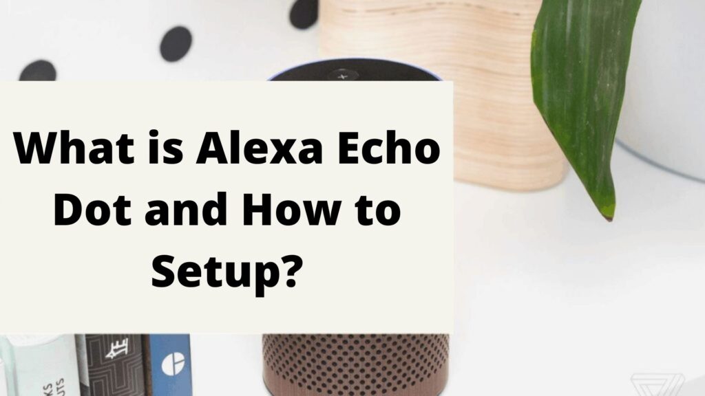 What is Alexa Echo Dot and How to Setup_