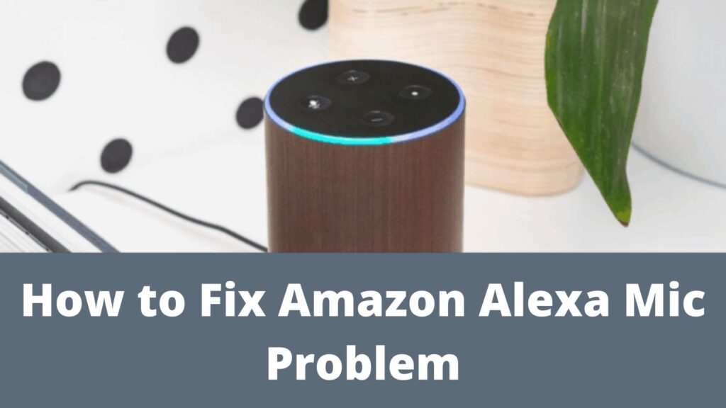 How to Fix Amazon Alexa Mic Problem