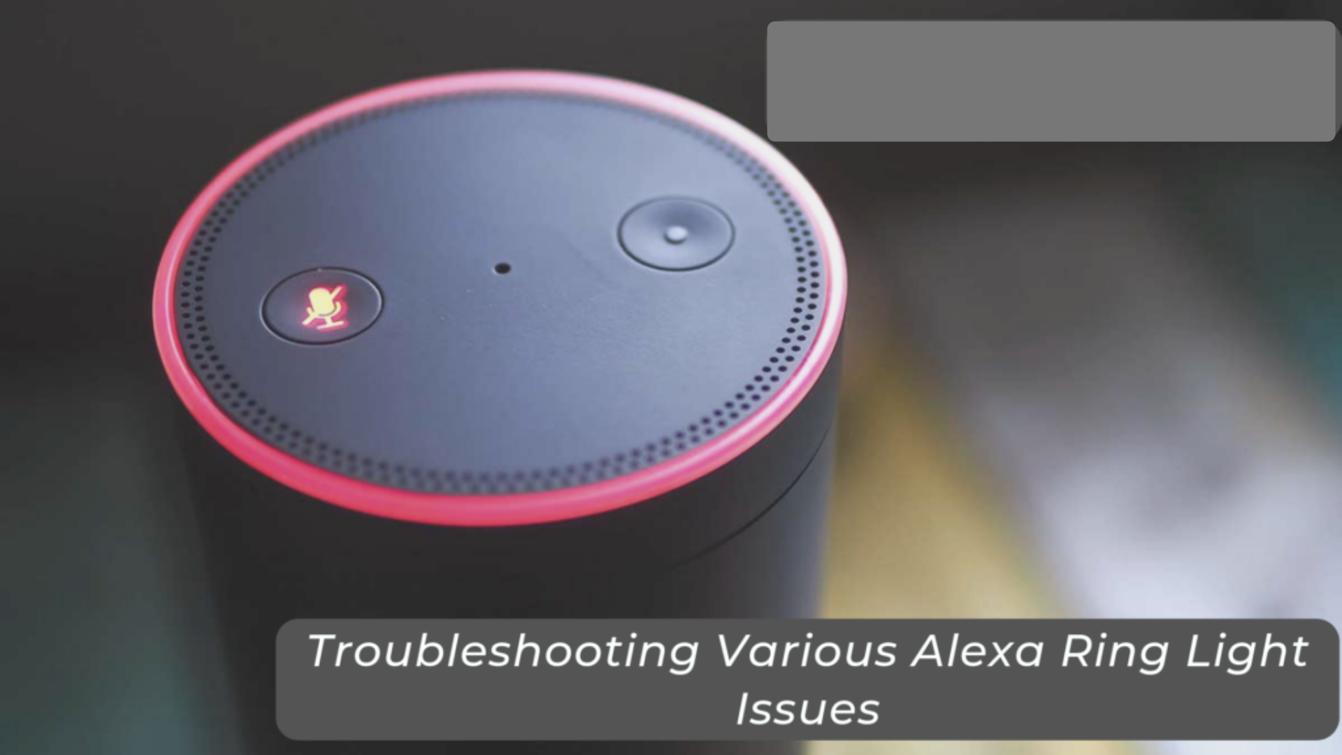 Alexa Ring Light Issues Troubleshoot Guide