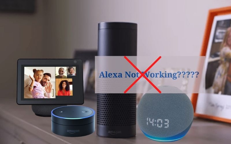 Alexa Not working