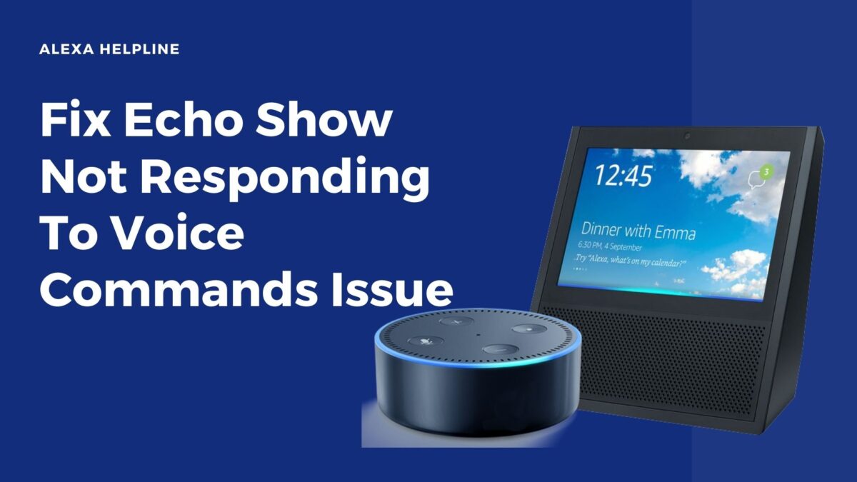 Echo Show 8 Not Responding To Voice Commands
