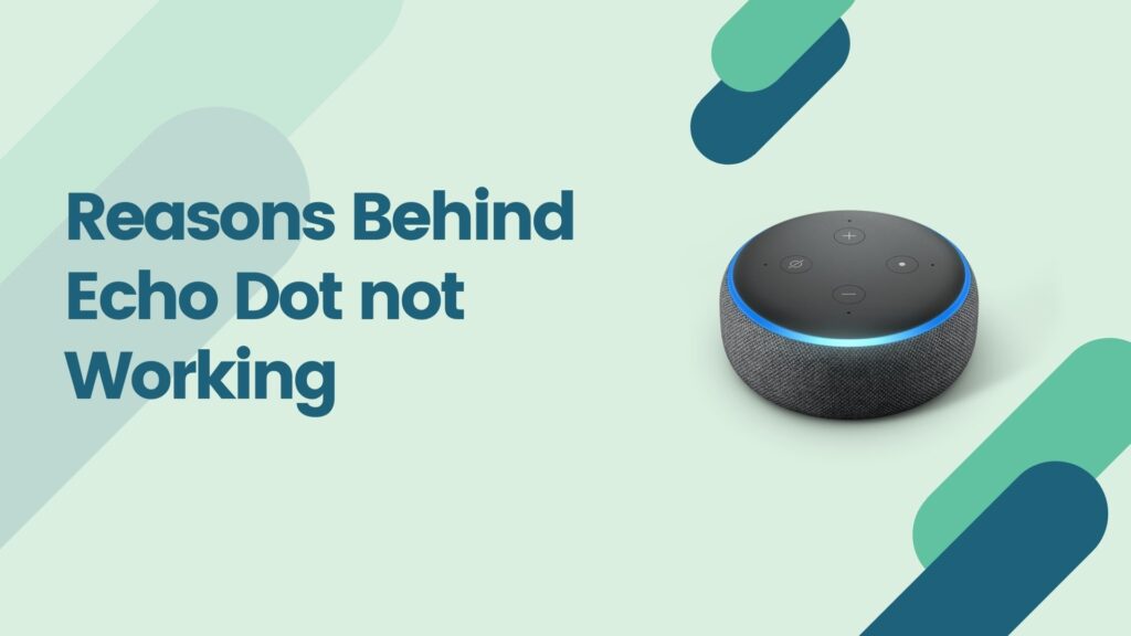 Reasons Behind Echo Dot not Working
