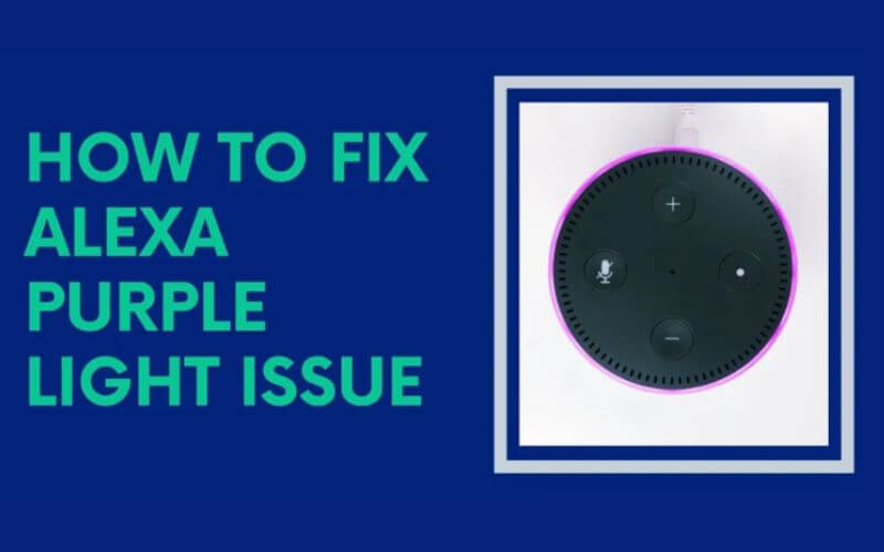 Alexa Purple Ring Light