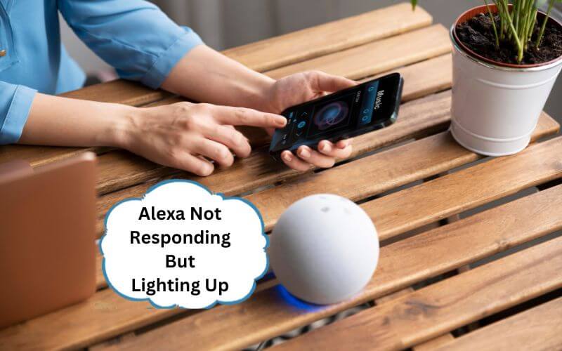 Alexa Not Responding But Lighting Up